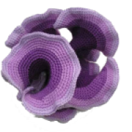 Negative curvature crochet (K <0)